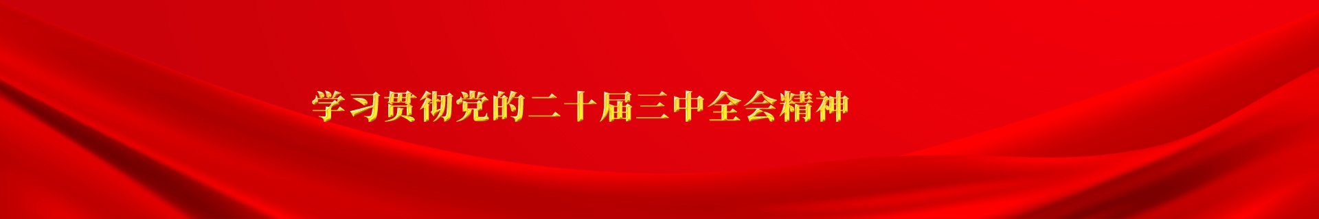 學(xué)習(xí)貫徹黨的二十屆三中全會(huì)精神